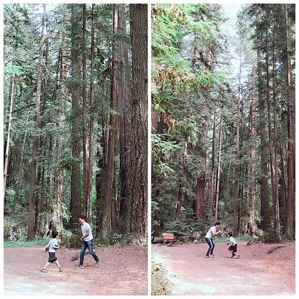 IMG_0378.JPG IMG_0378.JPG