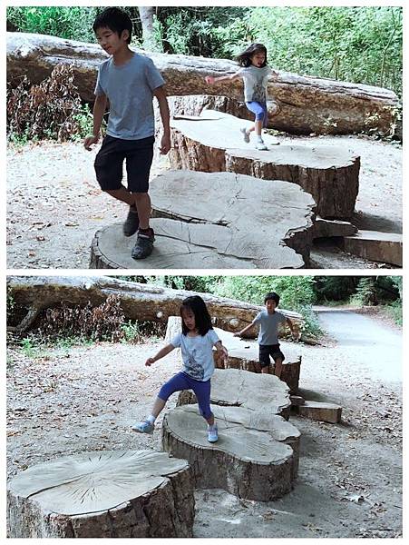 IMG_0375.JPG IMG_0375.JPG