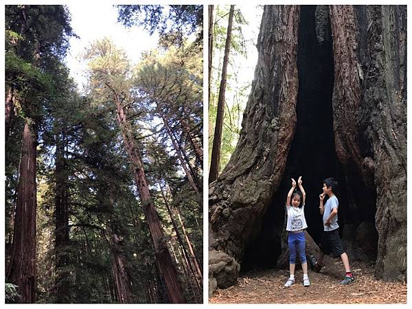 IMG_0379.JPG IMG_0379.JPG