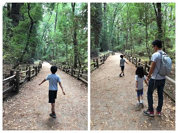 IMG_0380.JPG IMG_0380.JPG