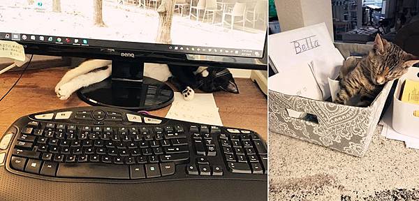 IMG_0389.JPG IMG_0389.JPG