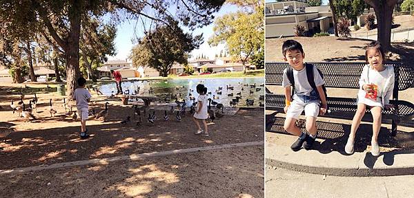 IMG_0825.JPG IMG_0825.JPG