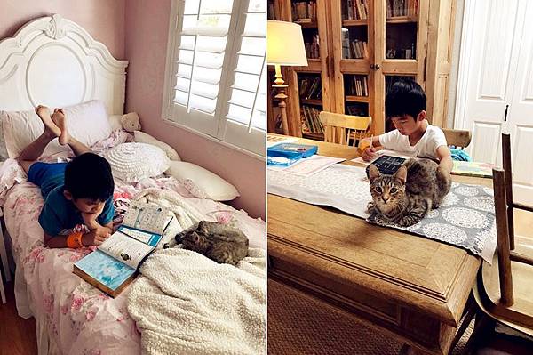 IMG_0908.JPG IMG_0908.JPG