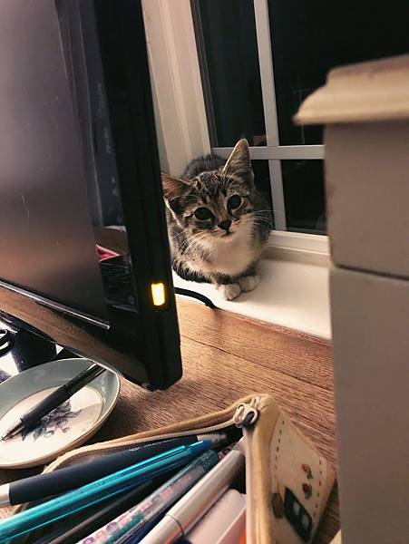 IMG_1003.JPG IMG_1003.JPG