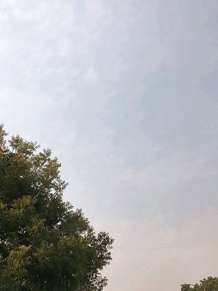 IMG_1006.JPG IMG_1006.JPG