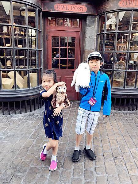 22788958_10155879058241096_1548957352575328836_n.jpg 22788958_10155879058241096_1548957352575328836_n.jpg