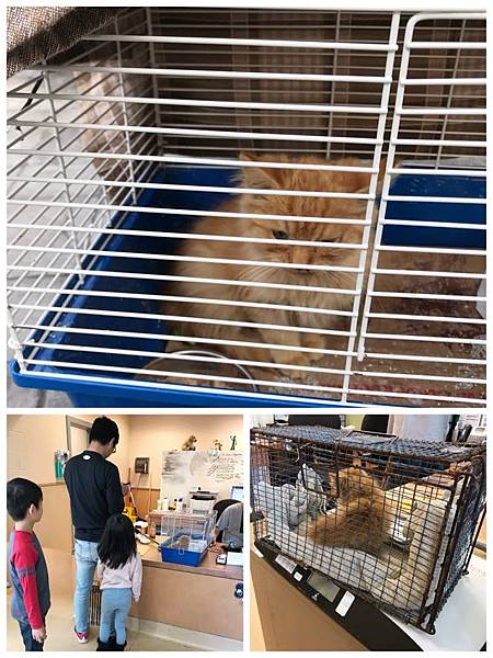 IMG_2354.JPG IMG_2354.JPG