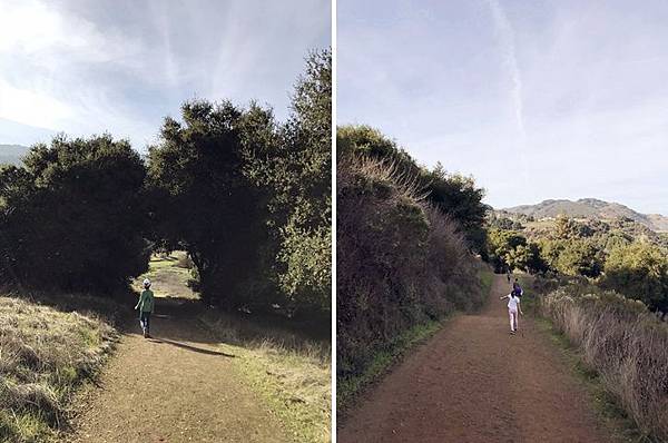 IMG_2753.jpg IMG_2753.jpg