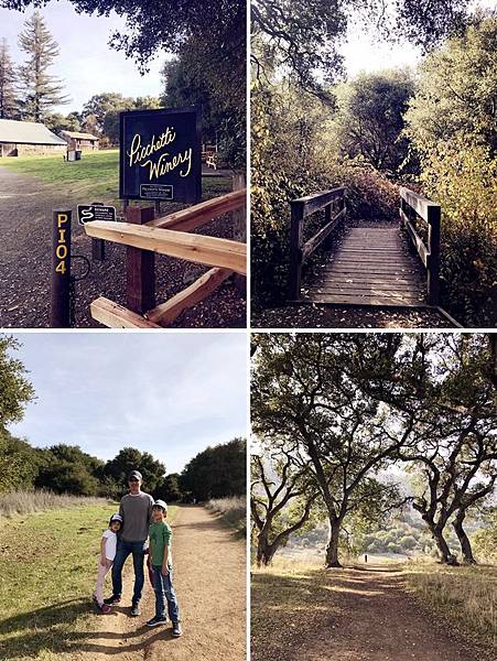 IMG_2703.jpg IMG_2703.jpg