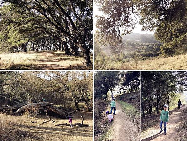 IMG_2723.jpg IMG_2723.jpg