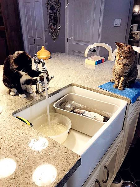 IMG_2816.jpg IMG_2816.jpg