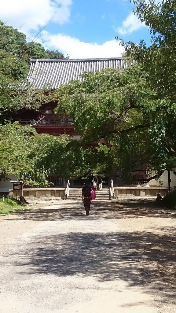 DSC_5945_調整大小.JPG DSC_5945_調整大小.JPG