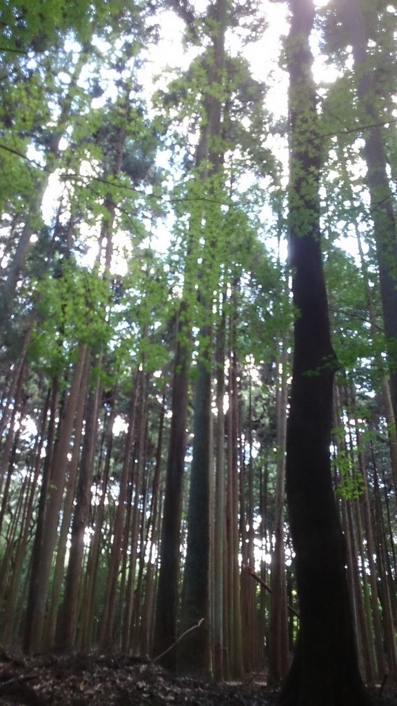 DSC_5950_調整大小.JPG DSC_5950_調整大小.JPG