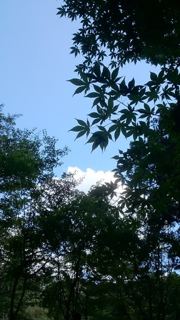 DSC_5951_調整大小.JPG DSC_5951_調整大小.JPG