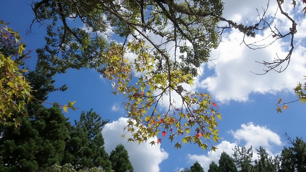 DSC_5962_調整大小.JPG DSC_5962_調整大小.JPG