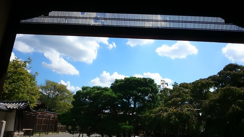 DSC_5974_調整大小.JPG DSC_5974_調整大小.JPG