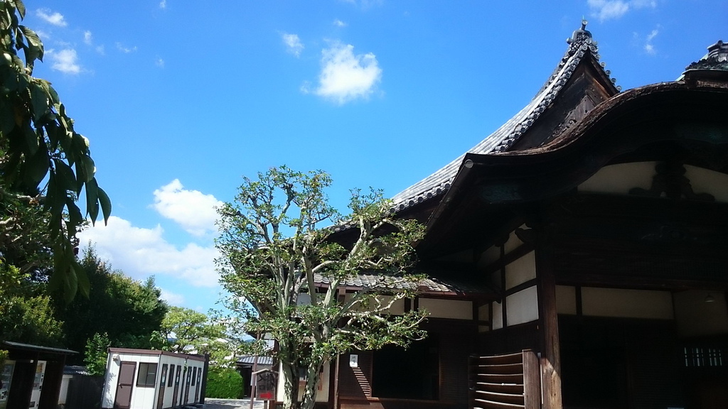 DSC_5977_調整大小.JPG DSC_5977_調整大小.JPG