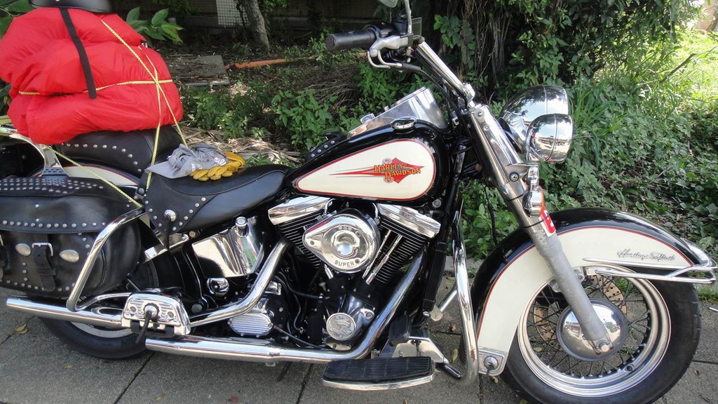 調整大小DSC07437.JPG 調整大小DSC07437.JPG