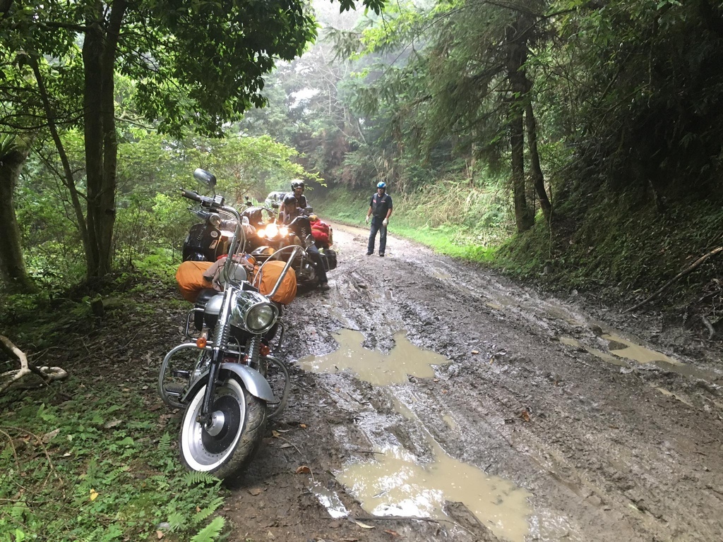 13320913_1211334645544566_7784198088232729186_o.jpg 13320913_1211334645544566_7784198088232729186_o.jpg