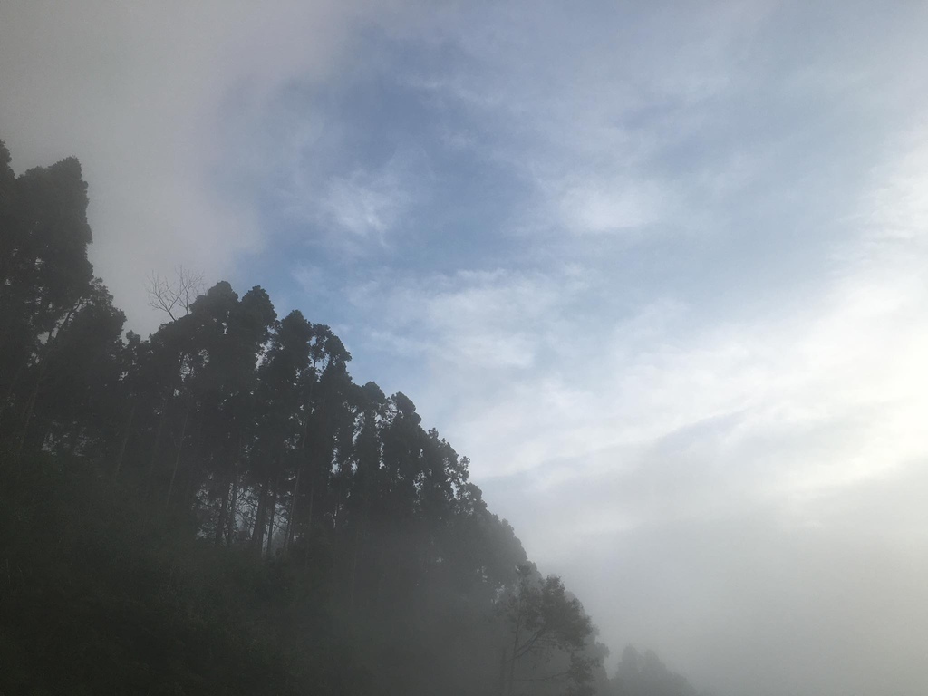 13268257_1211334782211219_8338213628207626832_o.jpg 13268257_1211334782211219_8338213628207626832_o.jpg