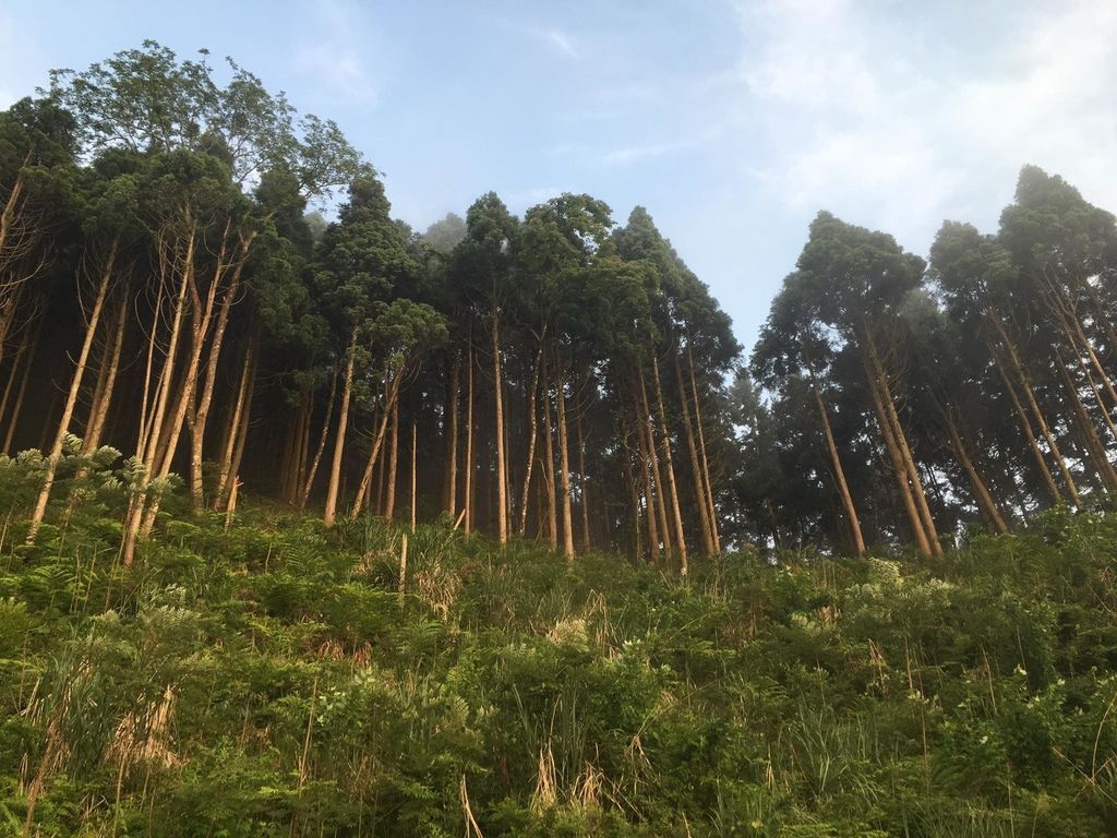 13323383_1211334842211213_4306912801000201419_o.jpg 13323383_1211334842211213_4306912801000201419_o.jpg