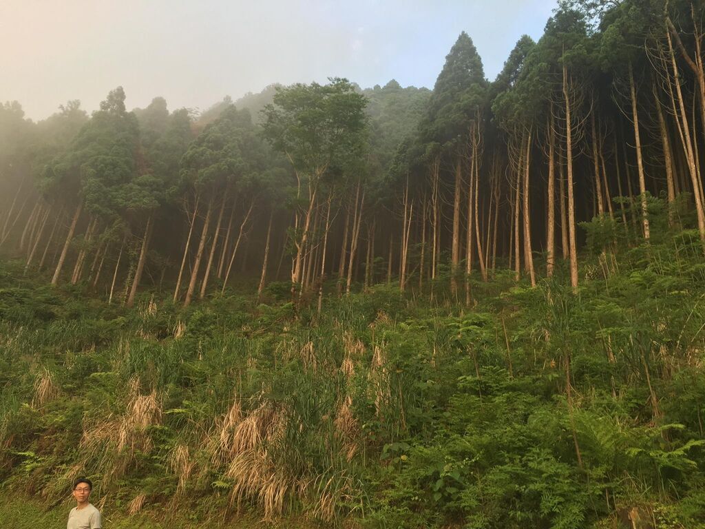 13320537_1211334902211207_1828037508570473065_o.jpg 13320537_1211334902211207_1828037508570473065_o.jpg