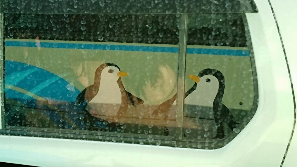 調整大小2017-07-06 京都市區寺院_170706_0080.jpg