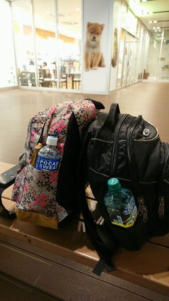 調整大小2017-07-06 京都市區寺院_170706_0107.jpg