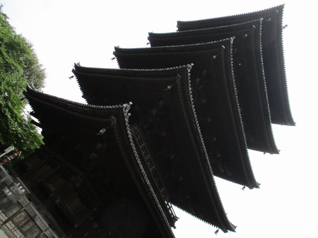 調整大小IMG_0995.JPG 調整大小IMG_0995.JPG