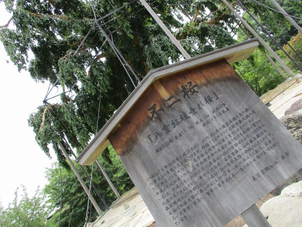 調整大小IMG_1000.JPG 調整大小IMG_1000.JPG