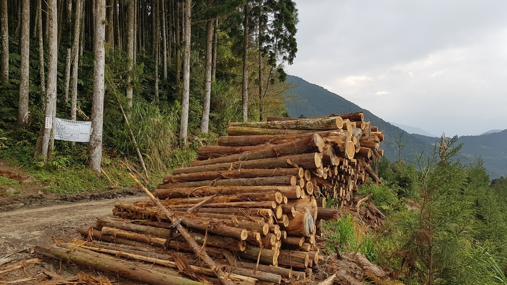 29893886_1895239833820707_965383724_o.jpg 29893886_1895239833820707_965383724_o.jpg