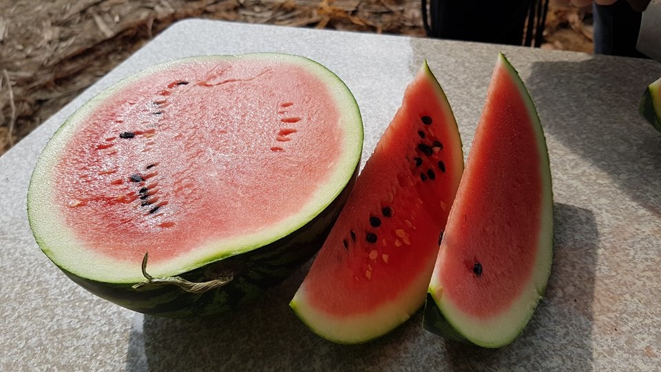 29939080_1895239837154040_1599712076_n.jpg 29939080_1895239837154040_1599712076_n.jpg