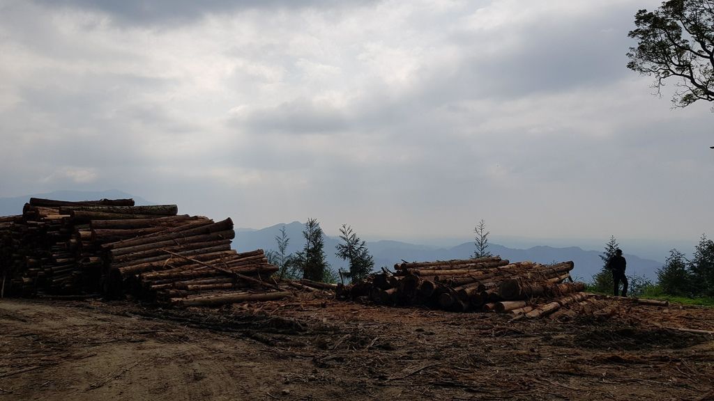 29943357_1895240270487330_256911218_o.jpg 29943357_1895240270487330_256911218_o.jpg