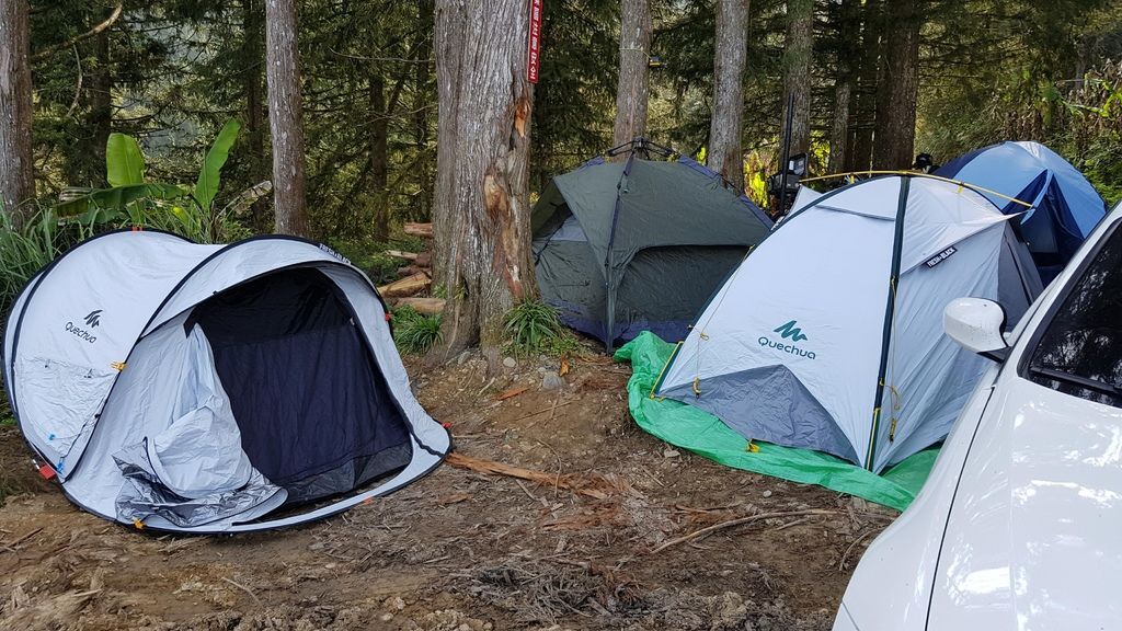 29831561_1894833210528036_1607613039_o.jpg 29831561_1894833210528036_1607613039_o.jpg