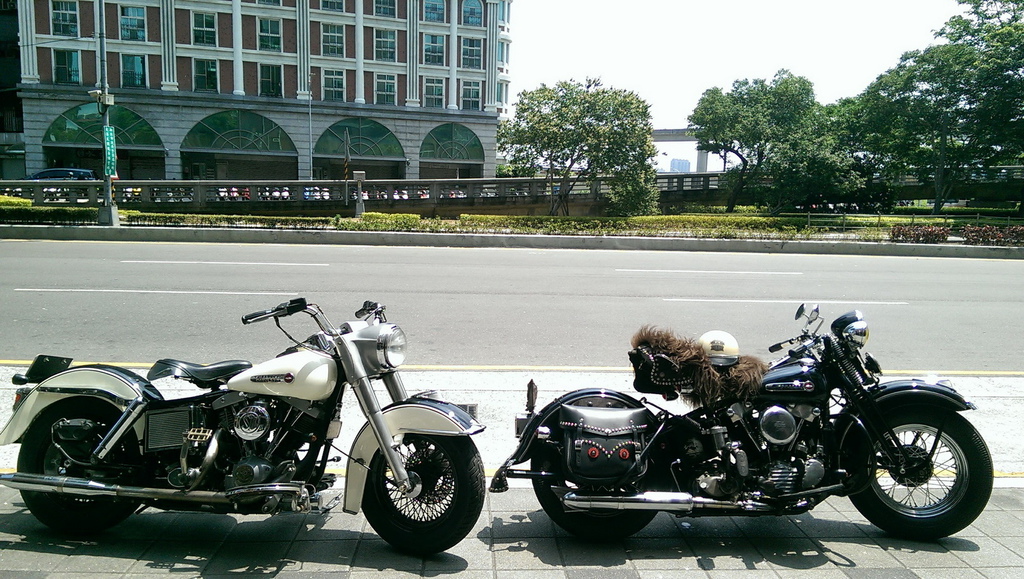 IMAG0371_調整大小