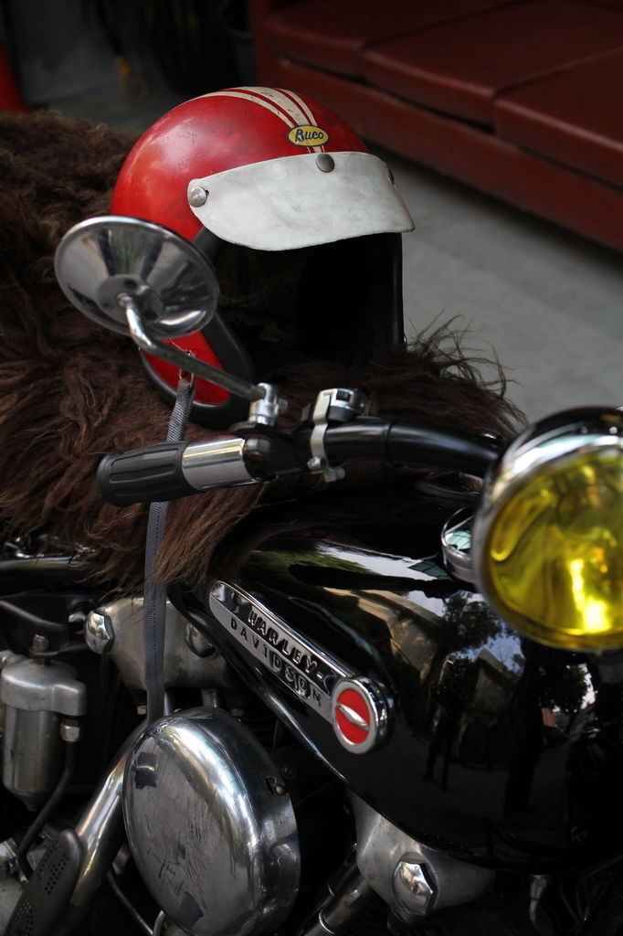 51085233_562612210882464_8699103327700385792_n (1)_調整大小.jpg