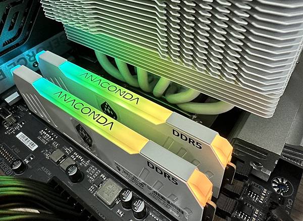 [開箱] 白色東方沙蟒 ANACOMDA ET DDR5 7