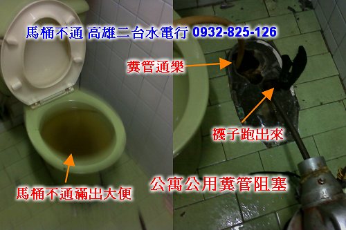 通馬桶比較.jpg