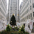 Rockfeller center的全照