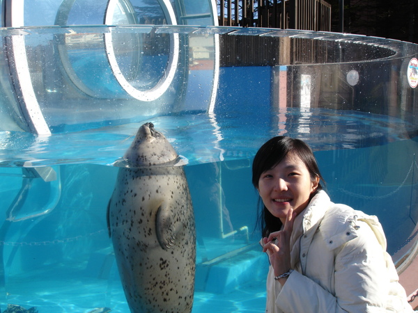 DAY2尼克斯海洋公園-海豹2.JPG