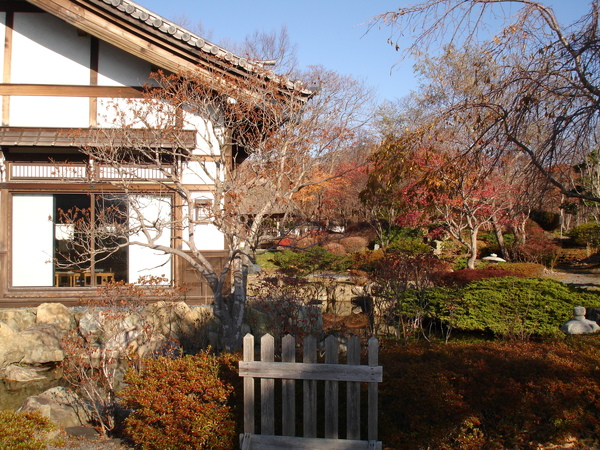 DAY2登別時代村旁的餐廳4.JPG