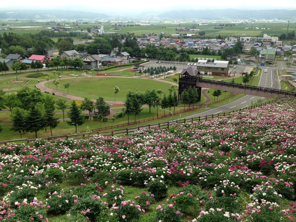 13 北海道八天七夜 6月24一7月1日 流水帳day 5 6 下 富良野 美瑛 半生熟的旅行扭蛋 痞客邦 13 北海道八天七夜 6月24一7月1日 流水帳day 5 6 下 富良野 美瑛 半生熟的旅行扭蛋 痞客邦