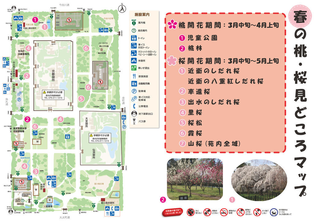 momo_sakura_map_0721.jpg