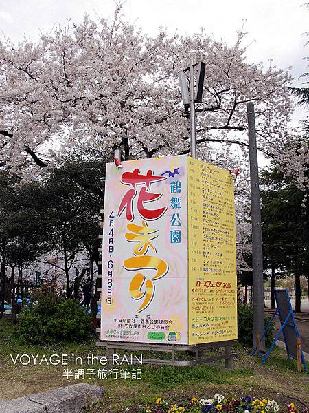 鶴舞公園櫻花祭