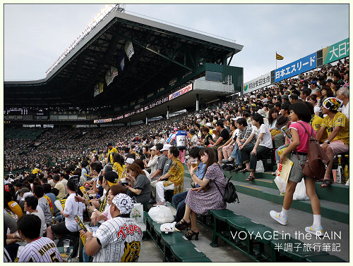 我的野球巡禮．甲子園球場