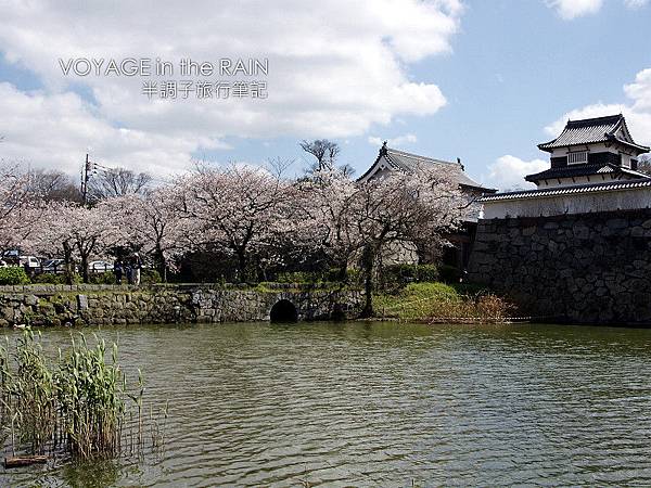 遠眺福岡城