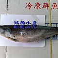 鱒鮭魚