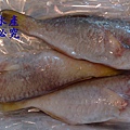 鸚哥魚