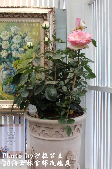 IMG_6925.JPG IMG_6925.JPG
