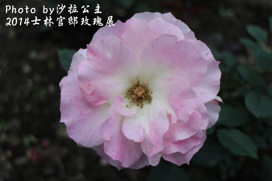 IMG_6963.JPG IMG_6963.JPG